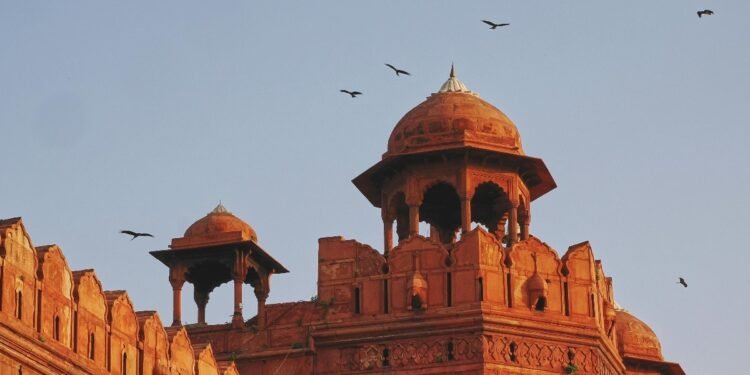 रिपब्लिक डे से पहले 7 दिन चलेगी चीलों की ‘चिकन पार्टी’, दिल्ली सरकार ने किए खास इंतजाम