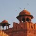 रिपब्लिक डे से पहले 7 दिन चलेगी चीलों की ‘चिकन पार्टी’, दिल्ली सरकार ने किए खास इंतजाम