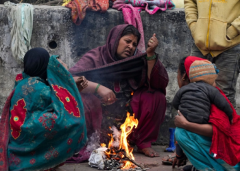 बिहार में सर्दी का कहर, पटना समेत 36 जिलों में कोल्ड डे, गयाजी में सबसे कम तापमान दर्ज