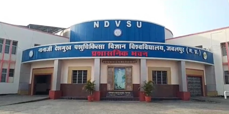 मध्य प्रदेश के जबलपुर में रिसर्च के नाम पर 3.5 करोड़ का घोटाला, गोवा-कोलकाता में अफसरों के किया सैर-सपाटा