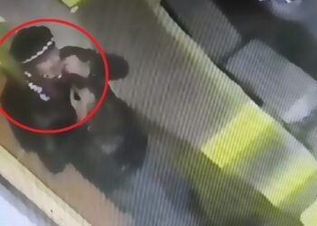 ‘गुटखा’ थूकने के लिए उठाया नकाब और CCTV में कैद हो गया चेहरा… पुलिस के हत्थे चढ़ गया शातिर चोर, पहुंचा जेल