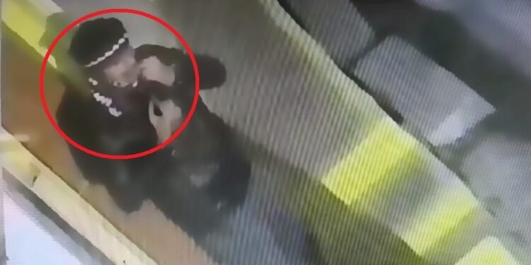 ‘गुटखा’ थूकने के लिए उठाया नकाब और CCTV में कैद हो गया चेहरा… पुलिस के हत्थे चढ़ गया शातिर चोर, पहुंचा जेल