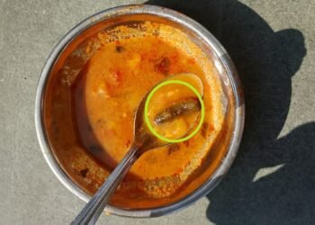 खाने में मिली 3 इंच की इल्लियां, छात्राओं ने जताया विरोध तो वार्डन की धमकी- तुम्हारी प्राइवेट बातें घरवालों को बता दूंगी