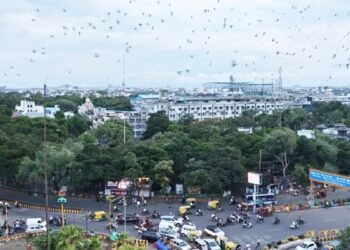 इंदौर में ‘ऑक्सीजन’ बचाने की जिद… एक मेट्रो स्टेशन के लिए 250 पेड़ों की बलि का विरोध, कड़कड़ाती ठंड में सत्याग्रह जारी