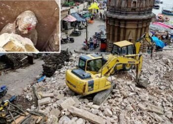 ‘मंदिरों पर मशीनें चढ़ाना लापरवाही नहीं, अपराध है, मणिकर्णिका घाट को लेकर सुमित्रा महाजन भड़कीं, अपनी ही सरकार को घेरा