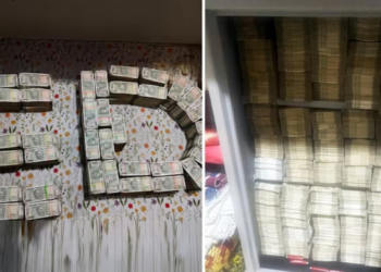 BJD नेता के घर ED का छापा, नोटों से ऊपर तक भरी मिली अलमारी