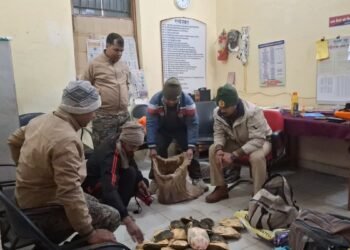 जनरल कोच, 11 बोरियां और 311 कछुए… बिहार में कालका-हावड़ा मेल से वन्यजीव तस्करी का खुलासा