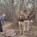 हरियाणा: रातभर लापता रही महिला, सुबह नाले के किनारे मिली अर्धनग्न लाश