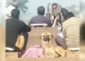 बेजुबान ने नहीं छोड़ा साथ… मालिक की मौत के बाद शव के पास बैठा रहा कुत्ता, पोस्टमार्टम हाउस से लेकर श्मशान तक गया