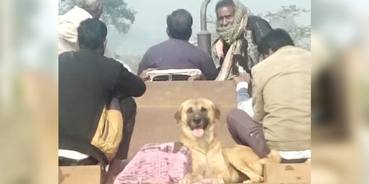 बेजुबान ने नहीं छोड़ा साथ… मालिक की मौत के बाद शव के पास बैठा रहा कुत्ता, पोस्टमार्टम हाउस से लेकर श्मशान तक गया