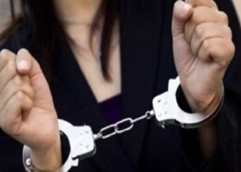 दिल्ली: फर्जी एंबेसी नंबर प्लेट लगाकर हाई सिक्योरिटी इलाकों में घूम रही थी महिला, इस गलती से पकड़ी गई