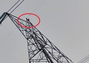 मेले में झूला नहीं झुलाया, नाराज पत्नी चढ़ी हाईटेंशन टावर पर… हाई वोल्टेज ड्रामा का Video वायरल