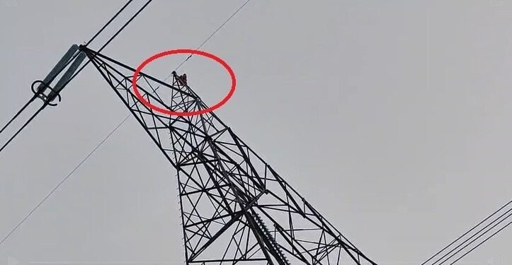 मेले में झूला नहीं झुलाया, नाराज पत्नी चढ़ी हाईटेंशन टावर पर… हाई वोल्टेज ड्रामा का Video वायरल