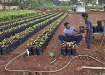 बिहार में नर्सरी बिजनेस का सुनहरा मौका! सरकार दे रही 50% सब्सिडी, ऐसे करें आवेदन