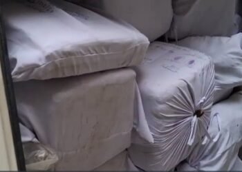 पुआल के ढेर में छिपी थी नशे की खेप, बगहा में 203 किलो गांजा बरामद