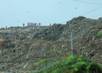 दिल्ली को कचरा और धूल मुक्त बनाने के लिए MCD को 500 करोड़ की सहायता, रेखा सरकार का मास्टरप्लान