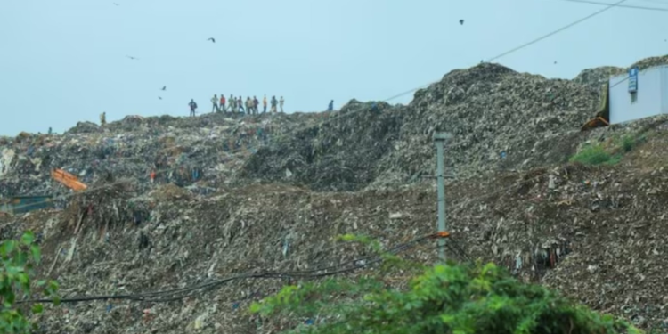 दिल्ली को कचरा और धूल मुक्त बनाने के लिए MCD को 500 करोड़ की सहायता, रेखा सरकार का मास्टरप्लान