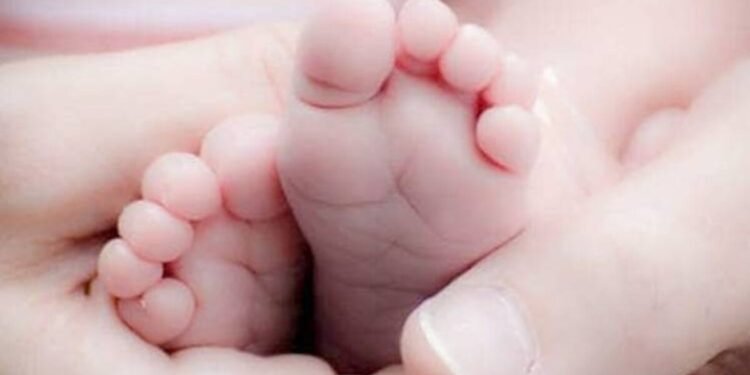 MP: समय पर नहीं आई एंबुलेंस, कड़ाके की ठंड में रात 3 बजे महिला ने सड़क पर दिया बच्चे को जन्म