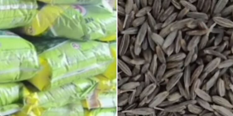 सीमेंट और केमिकल से तैयार हो रहा था नकली जीरा… ब्रांडेड पैकेट्स में भरकर बाजार में करते थे सप्लाई