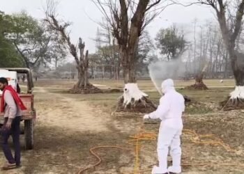 बिहार: नवगछिया में बर्ड फ्लू का कहर, 150 से ज्यादा कौओं की मौत से हड़कंप