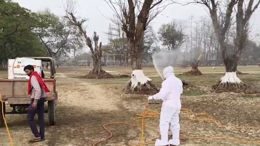 बिहार: नवगछिया में बर्ड फ्लू का कहर, 150 से ज्यादा कौओं की मौत से हड़कंप