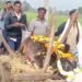 गाय की अनोखी अंतिम यात्रा… ढोल-नगाड़े बजे, पटाखे फूटे और वैदिक मंत्रों के साथ दी गई विदाई