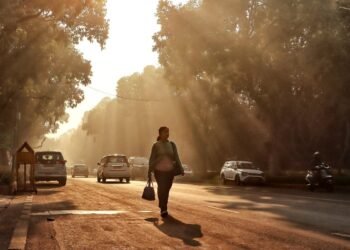 सड़कों की धूल से निपटने के लिए ख़र्च हुए ₹7000 करोड़, लोकसभा में खुलासा