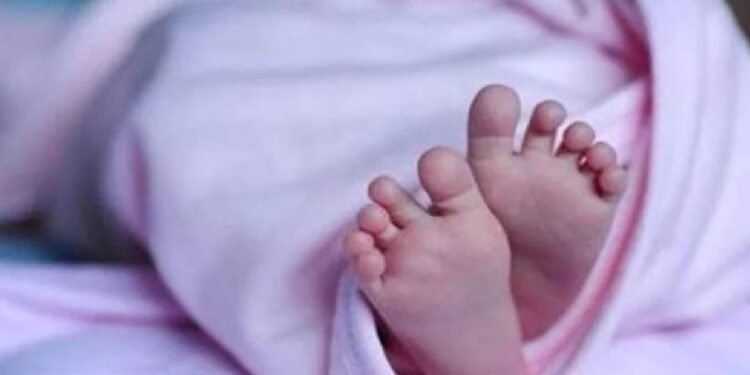 पॉलिथीन में बंद एक दिन की बच्ची की लाश…,पैदा होते ही कूड़े के ढेर में फेंक गया कोई