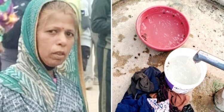 नीमच की ‘बहादुर मां’: 20 बच्चों को बचाने के लिए खुद पर झेले मधुमक्खियों के डंक; कंचन बाई के बच्चों की पढ़ाई का खर्च उठाएगी सरकार