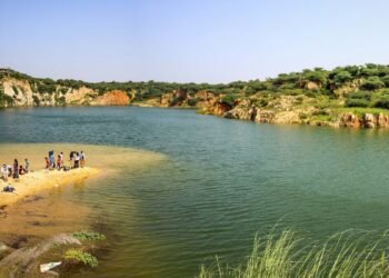 दिल्ली में पहली बार किसी झील को मिलेगा ‘रामसर टैग’! इस वेटलैंड को बचाने की हो रही कोशिश