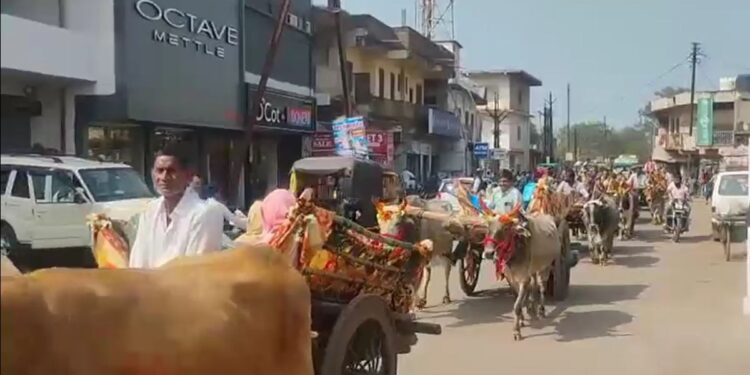 कौन दिशा में लेके चला रे… 10 बैलगाड़ियों पर निकली डॉक्टर दूल्हे की बारात, बिना DJ-आतिशबाजी हुई अनोखी शादी