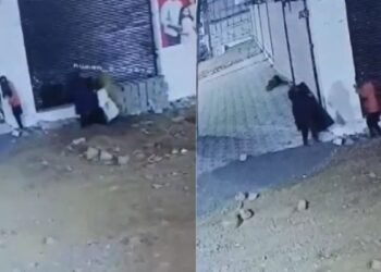 भोपाल में महिला चोरों के गैंग का दुस्साहस… फैक्ट्री का शटर उठाया और पार कर दिए हजारों के एलईडी, Video