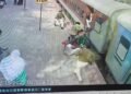 चलती ट्रेन और प्लेटफार्म के बीच फंसी महिला, RPF की बहादुरी से टला बड़ा हादसा, Video