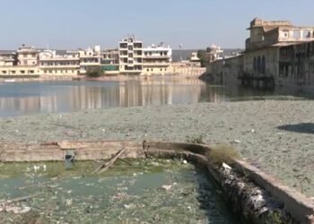 Exclusive: स्मार्ट सिटी या बदहाल सिटी… भोपाल, जयपुर, भागलपुर और लुधियाना से ग्राउंड रिपोर्ट