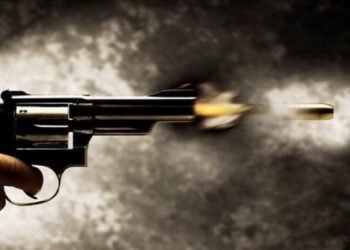 दिल्ली के नंद नगरी में फायरिंग… 35 साल के शख्स की मौत, हमलावरों की तलाश में जुटी पुलिस