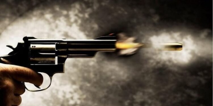 दिल्ली के नंद नगरी में फायरिंग… 35 साल के शख्स की मौत, हमलावरों की तलाश में जुटी पुलिस