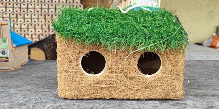 ‘चीं-चीं’ से चहकेगा आंगन: गौरैया को बचाने के लिए तैयार कराए 5000 घोंसले, महाकाल के रक्षा सूत्र से सुरक्षित होगा आशियाना