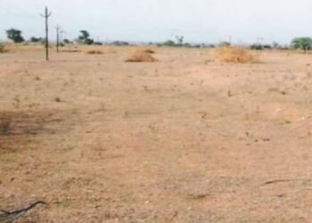 ₹100 करोड़ लगाओ और मात्र ₹1 में जमीन पाओ … बिहार में पलायन रोकने का मास्टरप्लान, सुरक्षा और बिजली की गारंटी भी साथ