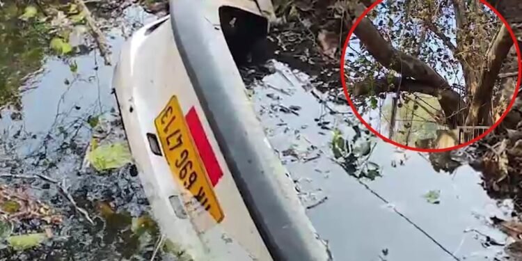 पीपल के पेड़ पर लटकी कार देख सहम गए लोग, ड्राइवर भी नहीं मिला, देखें CCTV वीडियो