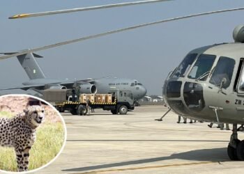 कूनो में बोत्सवाना से आ रहे 8 और चीते, शनिवार सुबह होगी ग्रैंड लैंडिंग, CM मोहन यादव करेंगे बाड़े में रिलीज