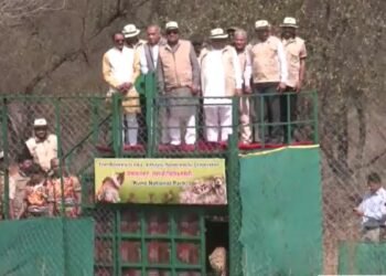 कूनो का जंगल और IAF के चॉपर्स की गूंज… बोत्सवाना से आए 9 नए चीते, देश में संख्या 48 पहुंची