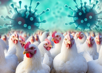 बिहार में बर्ड फ्लू का कहर, मारी गईं 4575 मुर्गियां, पटना जू 7 मार्च तक बंद