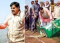 कूनो नदी में छोड़े 53 घड़ियाल और 25 दुर्लभ कछुए, नेशनल पार्क बना वन्यजीवों का हब