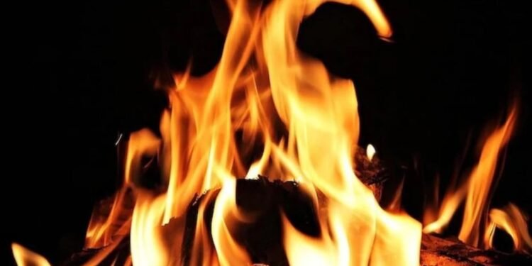 दिल्ली के रिठाला में लगी भीषण आग… 50 से ज्यादा झोपड़ियां जलकर राख, एक लड़की लापता