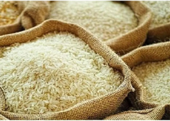 गोदामों में भरा स्टॉक, गिर रही कीमतें… MP के बासमती को नहीं मिल रहे खरीदार, समुद्री रास्तों में बाधा से एक्सपोर्टर्स परेशान