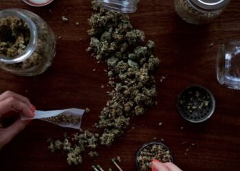 1 लीटर दूध में पी ली ढेर सारी भांग, बेहोश हुआ फिर उठा ही नहीं युवक…होली में मस्ती बनी मातम