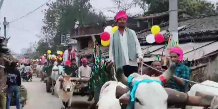 दूल्हा इंजीनियर, दुल्हन बिहार पुलिस में… 30 बैलगाड़ियों से निकली दोनों की बारात, Video