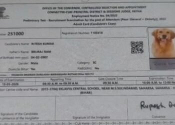 बिहार: चपरासी भर्ती परीक्षा के एडमिट कार्ड में अभ्यर्थी की जगह कुत्ते की फोटो, गड़बड़ी से युवक का बना मजाक