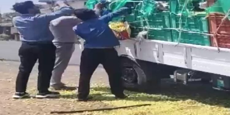 सड़क पर बिखरे अंगूर लूटने की मची होड़… ट्रक ने लोडिंग गाड़ी में मारी टक्कर, ड्राइवर घायल