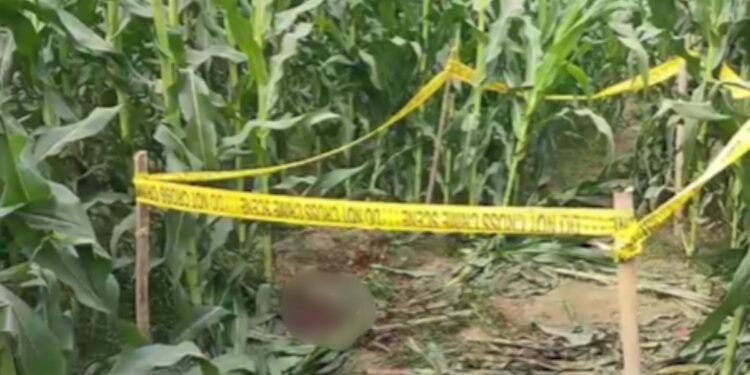 ’12 बदमाश आए और रवि को चाकू मार दिया…’ कहानी बना रहे ‘हत्यारे’ दोस्तों का पर्दाफाश